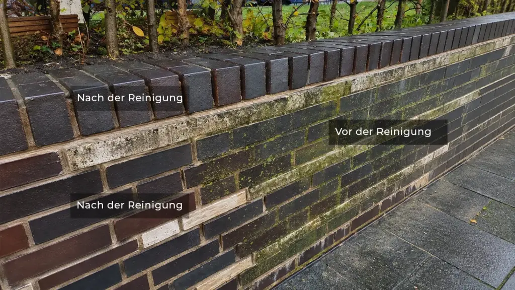 nachdruckreinigung
